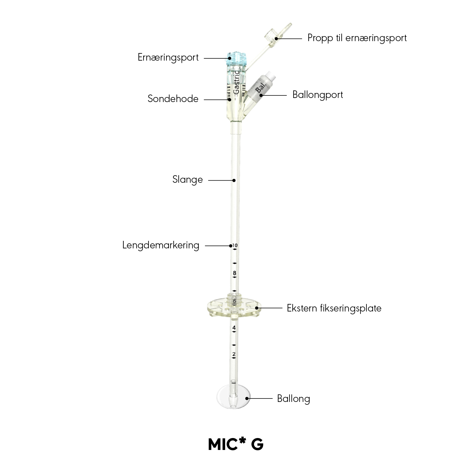 MIC* G produktdiagram