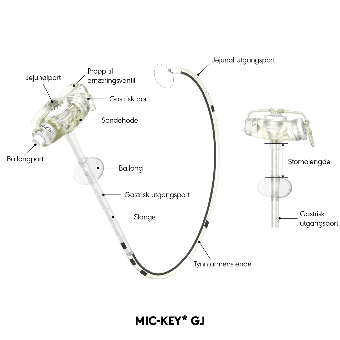 MIC-KEY* GJ produktdiagram