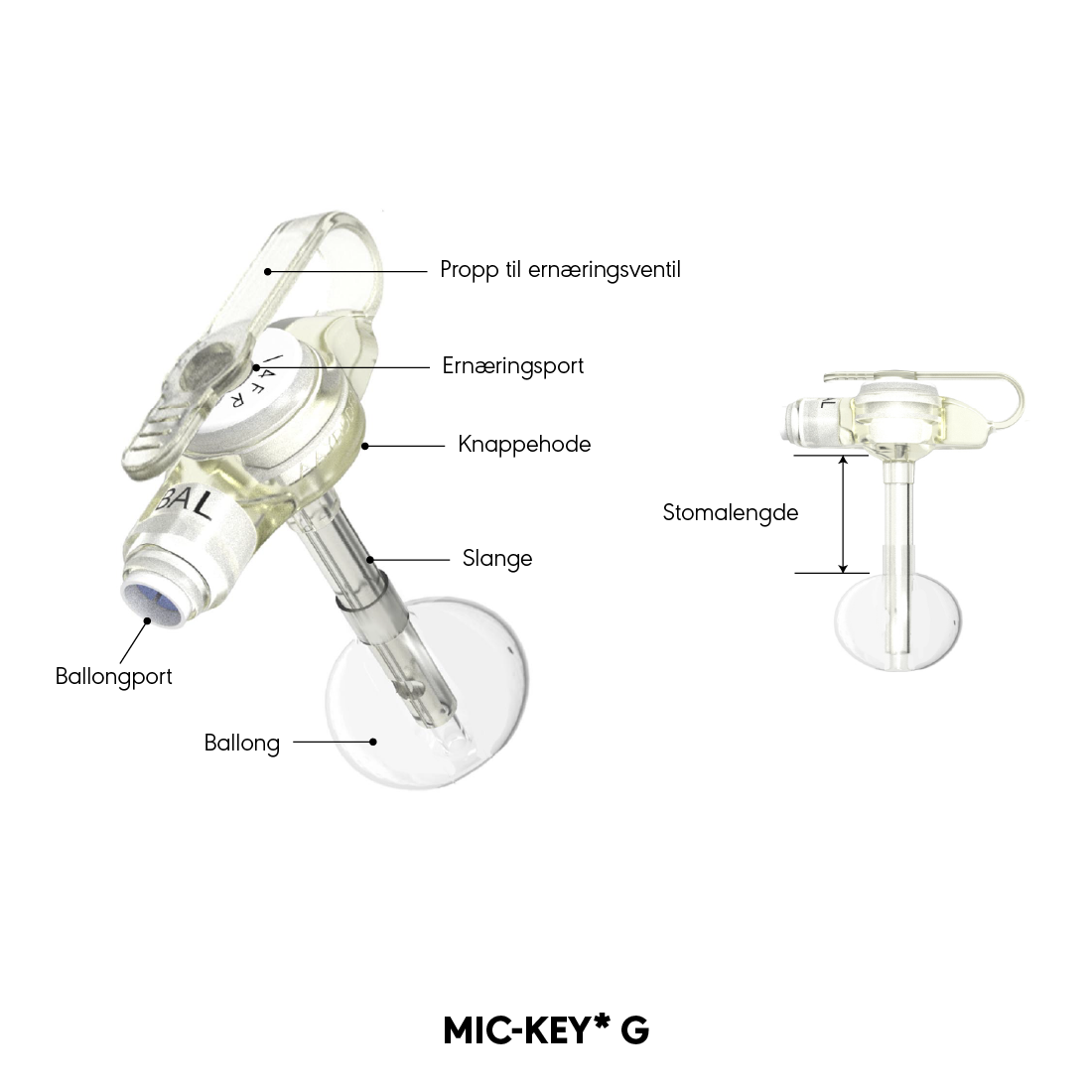 MIC-KEY* G produktdiagram